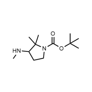 Tert-butyl 2,2-dimethyl-3-(methylamino)pyrrolidine-1-carboxylate|CS-1072480
