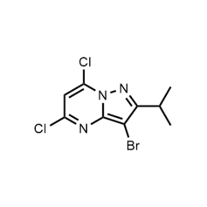 3-Bromo-5,7-dichloro-2-isopropylpyrazolo[1,5-a]pyrimidine|CS-1072645