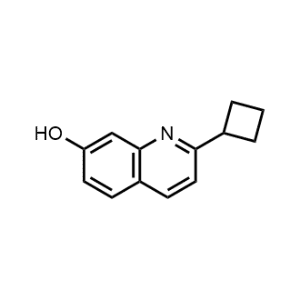 2-Cyclobutylquinolin-7-ol|CS-1072799