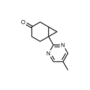 6-(5-Methylpyrimidin-2-yl)bicyclo[4.1.0]heptan-3-one|CS-1073742