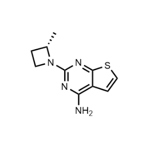 (S)-2-(2-Methylazetidin-1-yl)thieno[2,3-d]pyrimidin-4-amine|CS-1074971