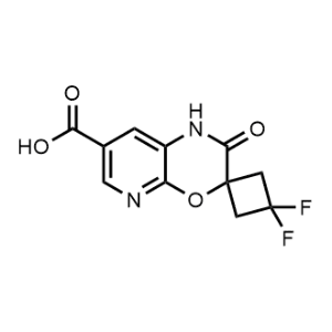 3,3-Difluoro-2'-oxo-1',2'-dihydrospiro[cyclobutane-1,3'-pyrido[2,3-b][1,4]oxazine]-7'-carboxylic acid|CS-1076235