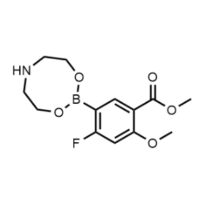 Methyl 5-(1,3,6,2-dioxazaborocan-2-yl)-4-fluoro-2-methoxybenzoate|CS-1077466