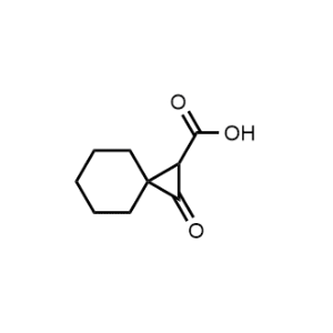 2-Oxospiro[2.5]octane-1-carboxylic acid|CS-1078505