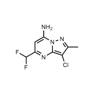 3-Chloro-5-(difluoromethyl)-2-methylpyrazolo[1,5-a]pyrimidin-7-amine|CS-1078534