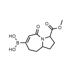 (3-(Methoxycarbonyl)-5-oxo-2,3,5,8,9,9a-hexahydro-1H-pyrrolo[1,2-a]azepin-7-yl)boronic acid|CS-1078895