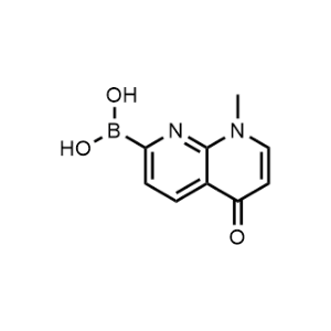 (8-Methyl-5-oxo-5,8-dihydro-1,8-naphthyridin-2-yl)boronic acid|CS-1082805