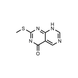 2-(Methylthio)pyrimido[4,5-d]pyrimidin-4(8H)-one|CS-1084570