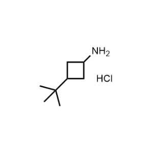3-(Tert-butyl)cyclobutan-1-amine hydrochloride|CS-1087440