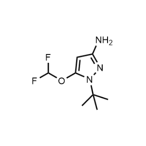 1-(Tert-butyl)-5-(difluoromethoxy)-1H-pyrazol-3-amine|CS-1087720
