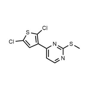 4-(2,5-Dichlorothiophen-3-yl)-2-(methylthio)pyrimidine|CS-1095526