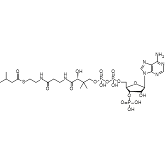 Isovaleryl-CoA|CS-1100339
