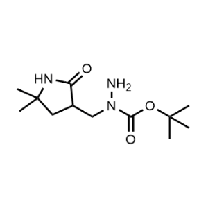 tert-Butyl 1-((5,5-dimethyl-2-oxopyrrolidin-3-yl)methyl)hydrazine-1-carboxylate|CS-1101195