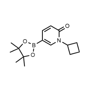 1-Cyclobutyl-5-(4,4,5,5-tetramethyl-1,3,2-dioxaborolan-2-yl)pyridin-2(1H)-one|CS-1102454