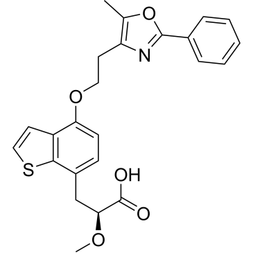 CS-1134