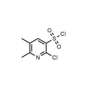 2-Chloro-5,6-dimethylpyridine-3-sulfonyl chloride|CS-1135792