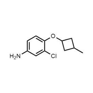 3-Chloro-4-(3-methylcyclobutoxy)aniline|CS-1136664