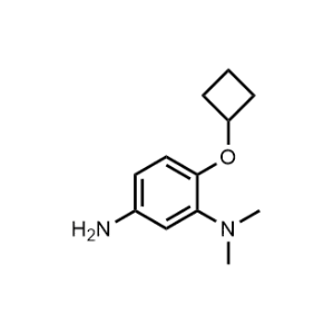 6-Cyclobutoxy-N1,N1-dimethylbenzene-1,3-diamine|CS-1136675