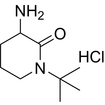 3-Amino-1-(tert-butyl)piperidin-2-one hydrochloride|CS-1137552