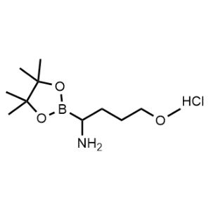 4-Methoxy-1-(4,4,5,5-tetramethyl-1,3,2-dioxaborolan-2-yl)butan-1-amine hydrochloride|CS-1138231