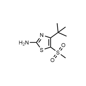 4-(Tert-butyl)-5-(methylsulfonyl)thiazol-2-amine|CS-1139583