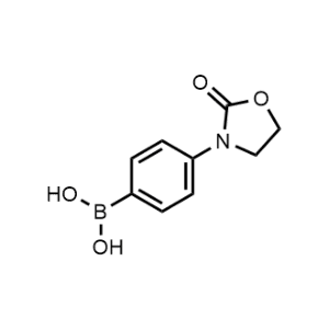 (4-(2-Oxooxazolidin-3-yl)phenyl)boronic acid|CS-1139629