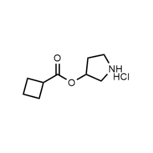 Pyrrolidin-3-yl cyclobutanecarboxylate hydrochloride|CS-1140770