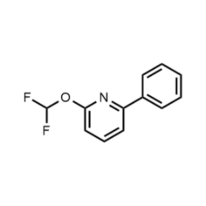 2-(Difluoromethoxy)-6-phenylpyridine|CS-1141043