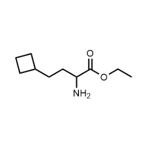 Ethyl 2-amino-4-cyclobutylbutanoate|CS-1143031