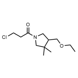 3-Chloro-1-(4-(ethoxymethyl)-3,3-dimethylpyrrolidin-1-yl)propan-1-one|CS-1143912