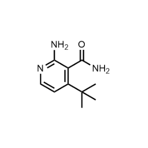 2-Amino-4-(tert-butyl)nicotinamide|CS-1144965