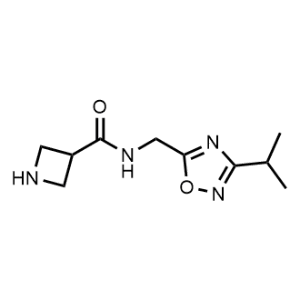 N-((3-Isopropyl-1,2,4-oxadiazol-5-yl)methyl)azetidine-3-carboxamide|CS-1144966