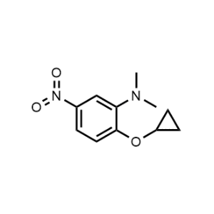 2-Cyclopropoxy-N,N-dimethyl-5-nitroaniline|CS-1145794