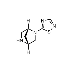 5-((1R,4R)-2,5-Diazabicyclo[2.2.1]heptan-2-yl)-1,2,4-thiadiazole|CS-1147330