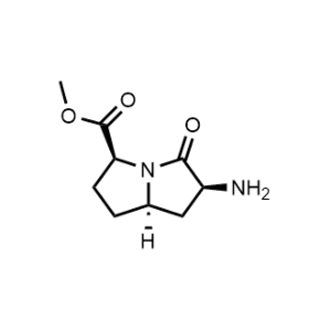 Methyl (3S,6S,7aR)-6-amino-5-oxohexahydro-1H-pyrrolizine-3-carboxylate|CS-1147511