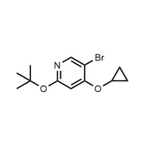 5-Bromo-2-(tert-butoxy)-4-cyclopropoxypyridine|CS-1148812