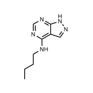 N-Butyl-1H-pyrazolo[3,4-d]pyrimidin-4-amine|CS-1148969