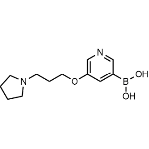 (5-(3-(Pyrrolidin-1-yl)propoxy)pyridin-3-yl)boronic acid|CS-1150259