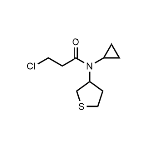 3-Chloro-N-cyclopropyl-N-(tetrahydrothiophen-3-yl)propanamide|CS-1152832