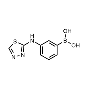 (3-((1,3,4-Thiadiazol-2-yl)amino)phenyl)boronic acid|CS-1153097