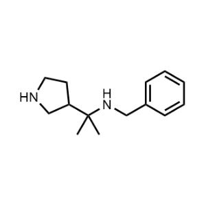 N-Benzyl-2-(pyrrolidin-3-yl)propan-2-amine|CS-1153156
