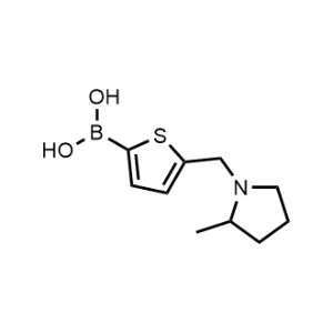 (5-((2-Methylpyrrolidin-1-yl)methyl)thiophen-2-yl)boronic acid|CS-1153781