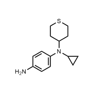 N1-Cyclopropyl-N1-(tetrahydro-2H-thiopyran-4-yl)benzene-1,4-diamine|CS-1154271