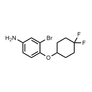 3-Bromo-4-((4,4-difluorocyclohexyl)oxy)aniline|CS-1154792