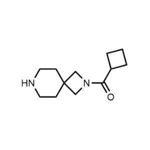 Cyclobutyl(2,7-diazaspiro[3.5]nonan-2-yl)methanone|CS-1158732