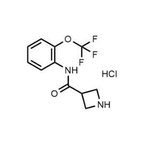 N-(2-(Trifluoromethoxy)phenyl)azetidine-3-carboxamide hydrochloride|CS-1160304