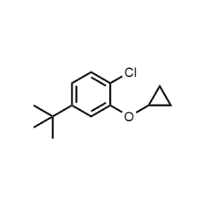 4-(Tert-butyl)-1-chloro-2-cyclopropoxybenzene|CS-1162442