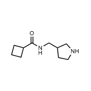 N-(Pyrrolidin-3-ylmethyl)cyclobutanecarboxamide|CS-1163794