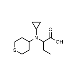 2-(Cyclopropyl(tetrahydro-2H-thiopyran-4-yl)amino)butanoic acid|CS-1164518
