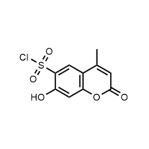 7-Hydroxy-4-methyl-2-oxo-2H-chromene-6-sulfonyl chloride|CS-1165056